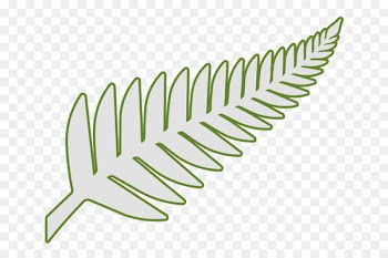 New Zealand Leaf Silver fern Plant - fern 