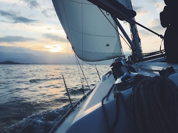 New Zealand. Original public domain | Free Photo - rawpixel