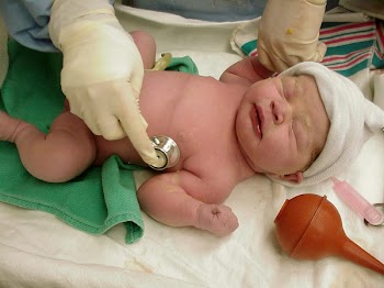 newbornbaby.jpg