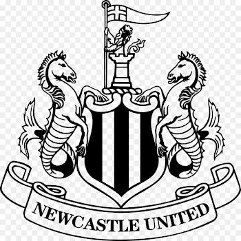 Newcastle United F.C. Newcastle upon Tyne Premier League Metropolitan Borough of Gateshead Manchester United F.C. - premier league 