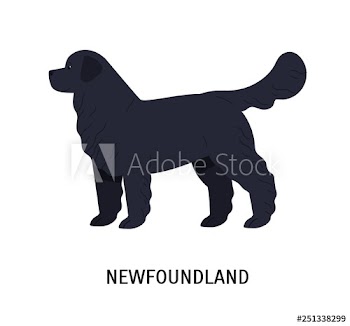 Newfoundland