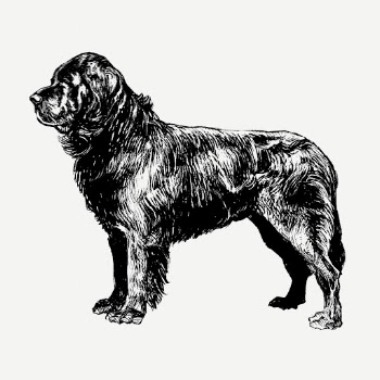 Newfoundland dog, animal clipart psd. | Free PSD Illustration - rawpixel