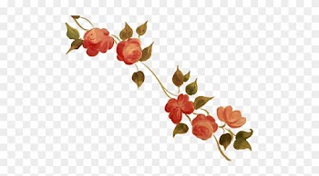 Newsletters - Rose And Vine