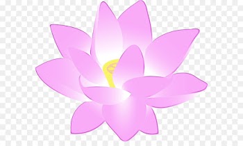 Next Generation Surfaces Llc, Universiti Sultan Zainal Abidin, Business, Petal, Lotus Family PNG