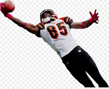NFL American football Cincinnati Bengals Player Team sport -  