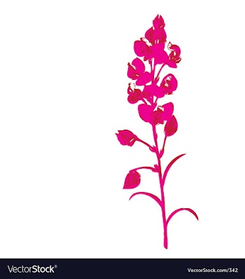 Nice blossom vector image