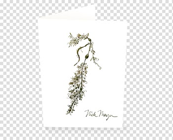 Nick Mayer Art, LLC Stationery Pencil Watercolor painting, Seaweed watercolor transparent background PNG clipart