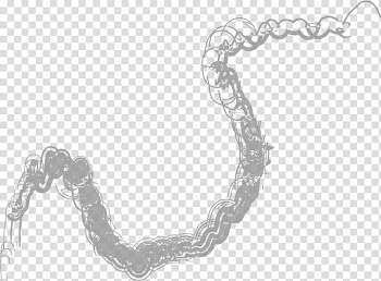 Nifty Shapes D, brown smoke transparent background PNG clipart