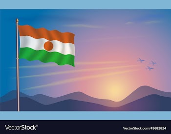 niger flag in the morning sun