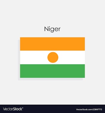  					Niger flag vector image														