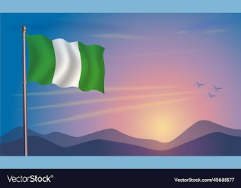 nigeria flag in the morning sun