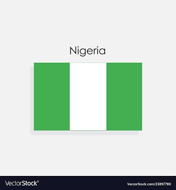  					Nigeria flag vector image														