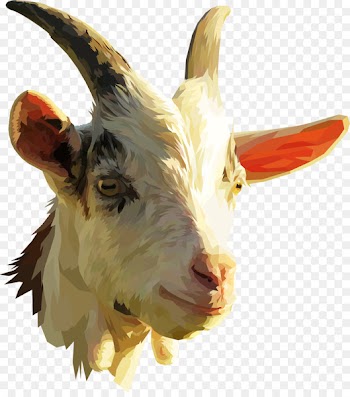 Nigerian Dwarf goat Pygmy goat Portable Network Graphics Clip art Spanish goat - sheep 