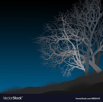 Night autumn vector image