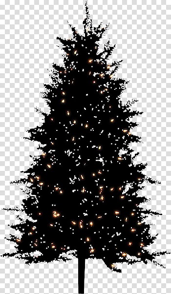 Night bg christmas tree, black Christmas tree transparent background PNG clipart
