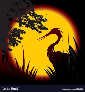 Night Landscape vector image