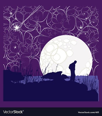 Night of a million stars vector image