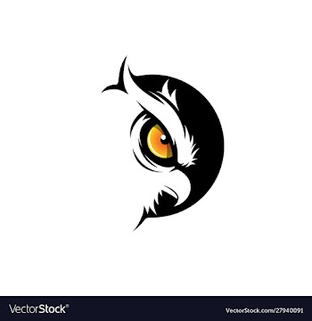 Night owl design vector image