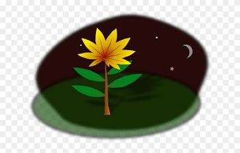Night Plant, Nature, Flower, Night - Clip Art