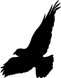 night´s watch Logo Vector