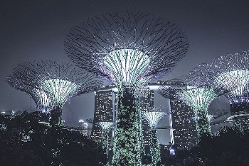 Night show Supertree Grove in Singapore. | Free Photo - rawpixel