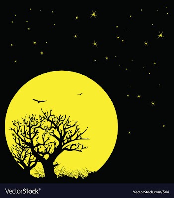 Night sky and moon vector image