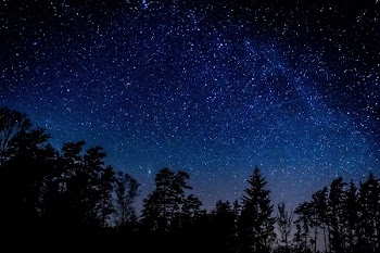 Night sky over rural landscape. Beautiful night starry sky, high ISO landscape. 