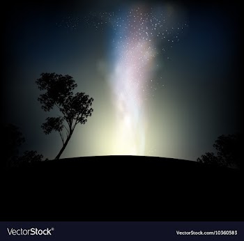 Night vector image