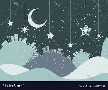 Night Winter City vector image