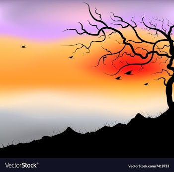 Nightfall vector image