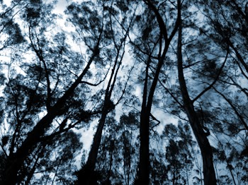 nightmareCN0023.jpg