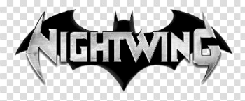 Nightwing PNG Photo