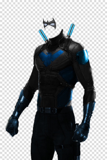Nightwing PNG Transparent Image