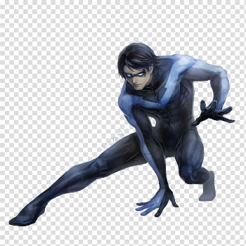 Nightwing Transparent