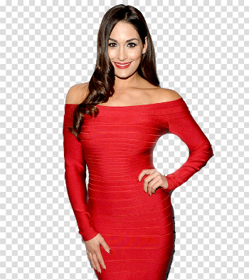 Nikki Bella PNG Photo