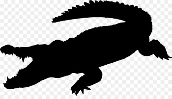 Nile crocodile Crocodiles and Alligators Gustave -  