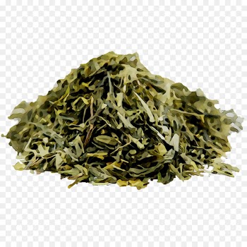 Nilgiri Tea, Golden Monkey Tea, Bancha, Plant, Kabusecha PNG