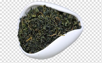 Nilgiri tea Gyokuro Keemun Chun Mee, Autumn leaves transparent background PNG clipart