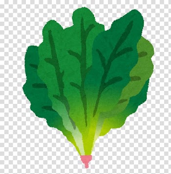 Nimono Spinach 茹で物 緑黄色野菜 Breakfast, breakfast transparent background PNG clipart