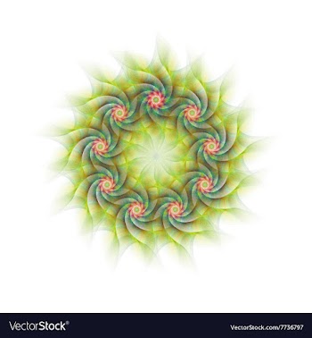 Nine branched circular fractal flower design vector image