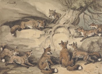 Nine Foxes Gathered Around a Tree: | Free Photo - rawpixel