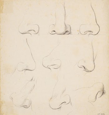 Nine studies of noses | Free Photo - rawpixel