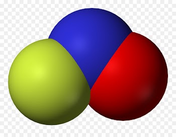 Nitric oxide synthase Nitrosyl fluoride Radical Nitroso -  