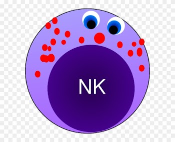 Nk Cell Clip Art - Natural Killer Cells Clipart