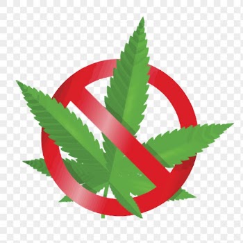 No cannabis png sign sticker, | Free PNG - rawpixel