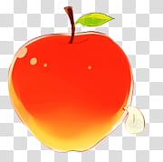 No  Food, red Apple fruit transparent background PNG clipart