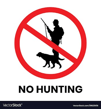 no hunting safety sign sticker with text
