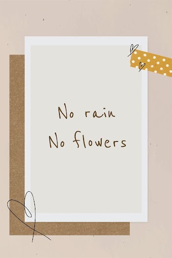 No rain no flowers quote on instant photo frame