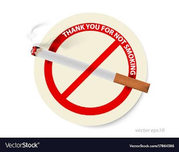 No smoking sign vector image