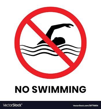 no swimming sign sticker with text inscription